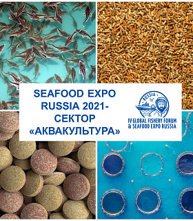 Аквакультура получит отдельный сектор на выставке Seafood Expo Russia 2021